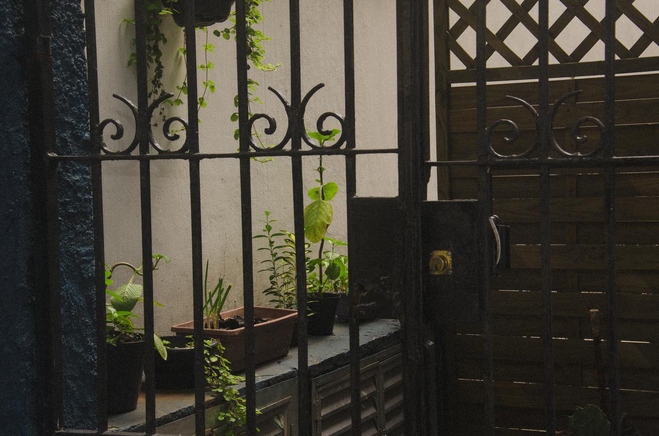 The Backpacker Cat Hostel Rio de Janeiro Luaran gambar
